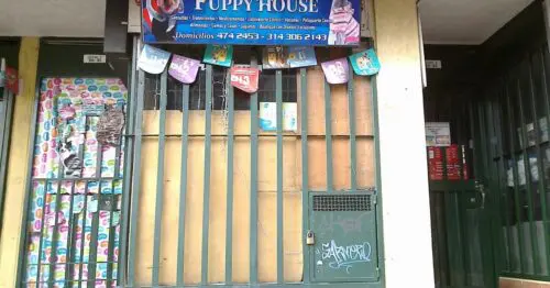 VETERINARIA PUPPY HOUSE VETERINARIA PUPPY HOUSE